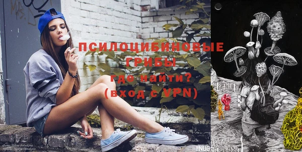гашик Лихославль