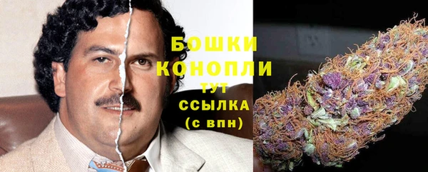 СК Липки