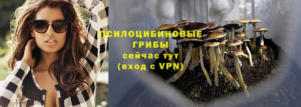 СК Липки