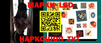 шишки Донской