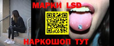 шишки Донской