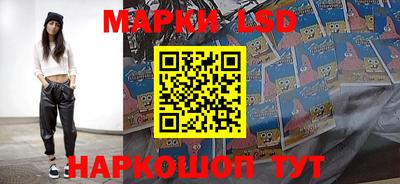 шишки Донской