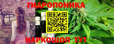 мдпв Дубна