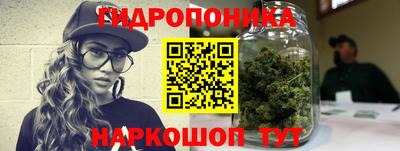 мдпв Дубна