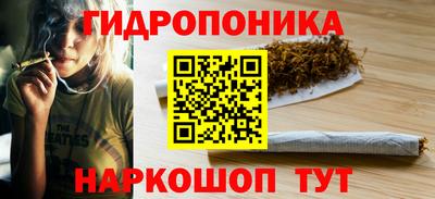 шишки Донской